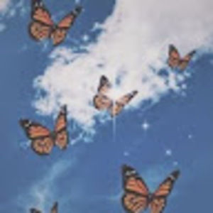 Meet your Posher, Amelia